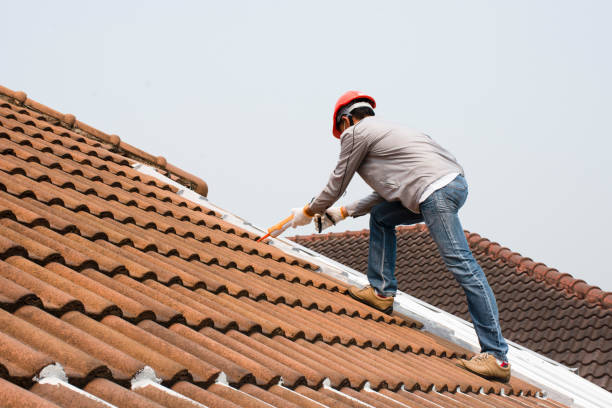 Best Skylight Installation and Repair  in Kenai, AK