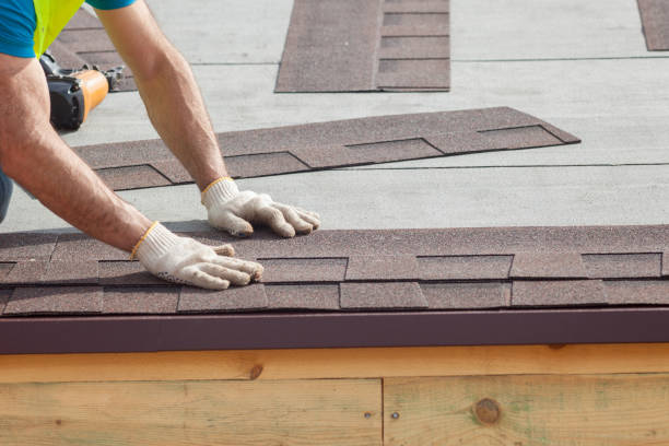 Best Roof Leak Repair  in Kenai, AK